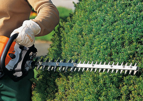 hedge trimming service