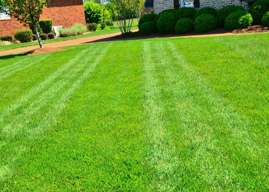 lawn maintenance company mcalester ok