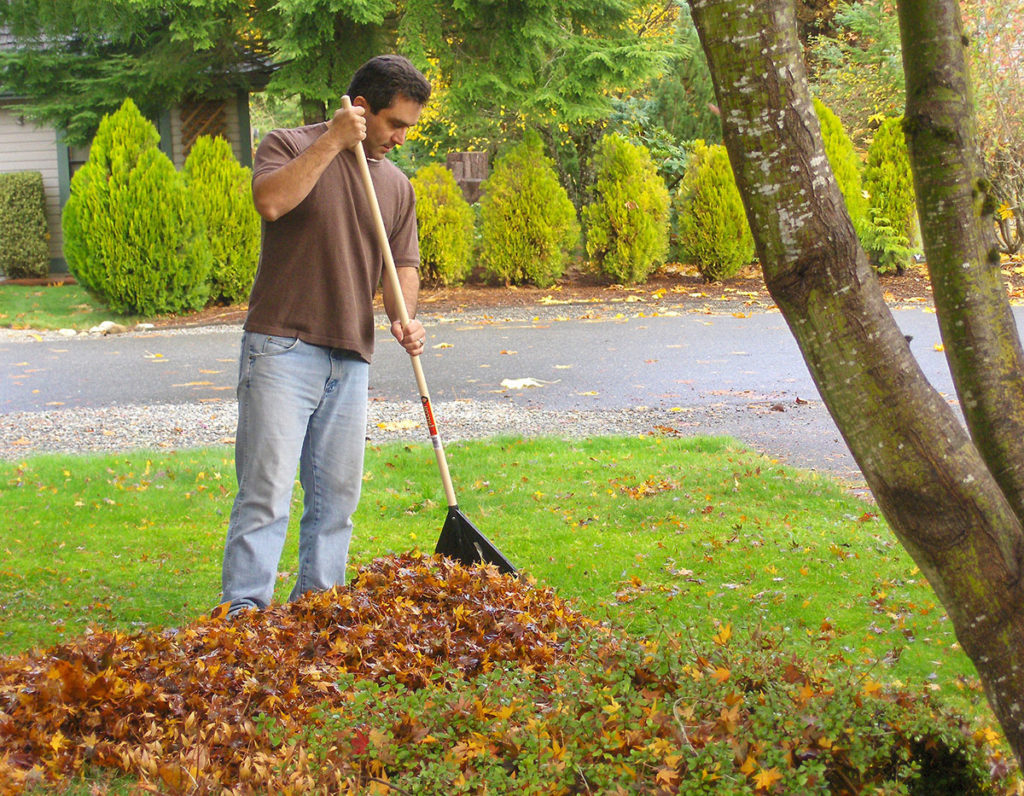 leaf removal mcalester ok